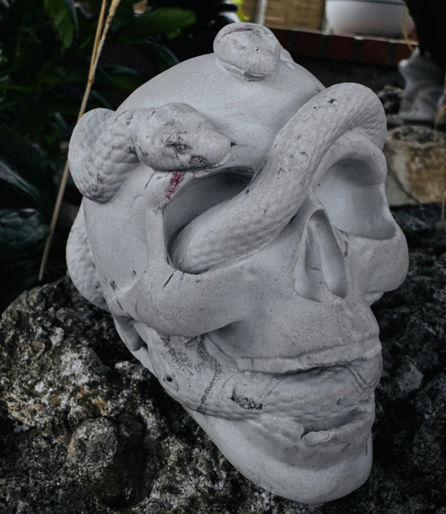 Ornements CRÂNE 
