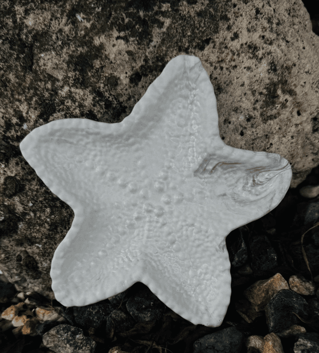 Plateau TRITON